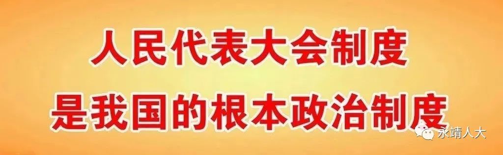 间接选举的机构_我国实行间接选举的有_国实行间接选举的有