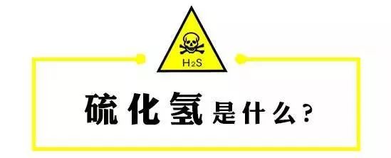 硫化氢气体_气体硫化氢刺激性_气体硫化氢的气味是什么味