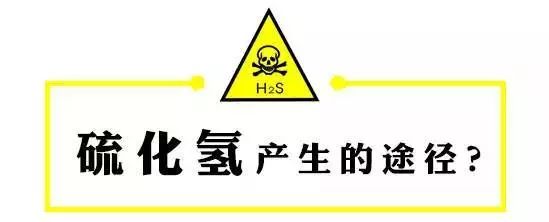 气体硫化氢刺激性_气体硫化氢的气味是什么味_硫化氢气体