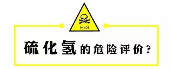 硫化氢气体_气体硫化氢的气味是什么味_气体硫化氢刺激性