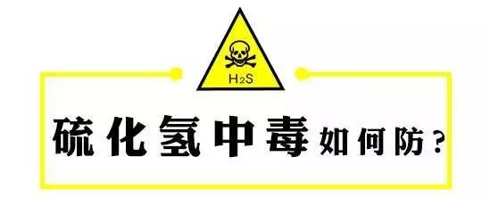 气体硫化氢的气味是什么味_气体硫化氢刺激性_硫化氢气体