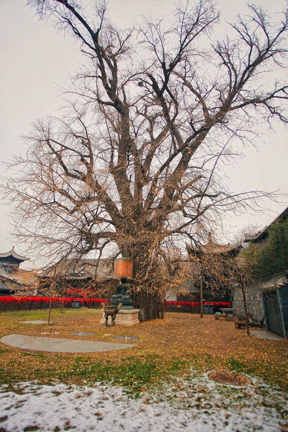 南山南_终南山在哪里_南山学院