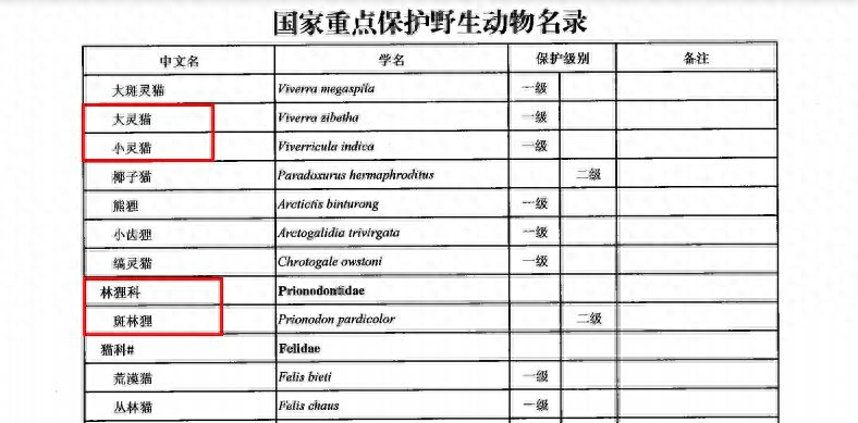 啮齿目和兔形目的区别_啮齿类动物_大环内酯类对啮齿类的危害