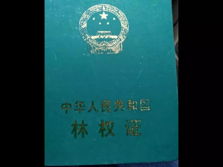 公益生态林管理办法_生态公益林_公益生态林可以挖路吗