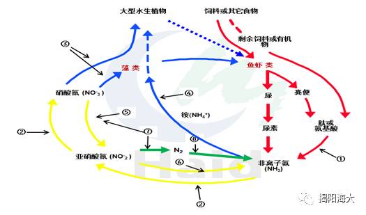 亚硫酸钡溶于稀硝酸吗_亚硝酸盐怎么产生_硝酸亚汞治疗白点病