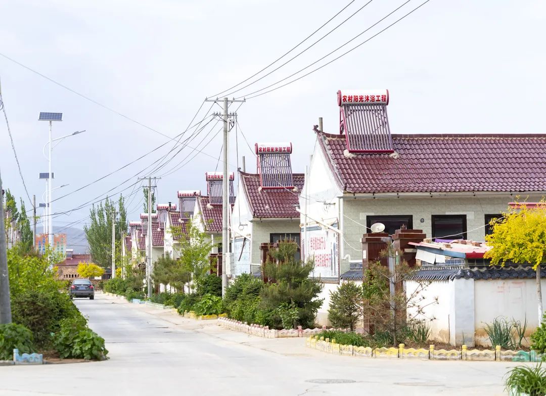 漳州名贵特产_福建漳州十大特产干货_漳州特产