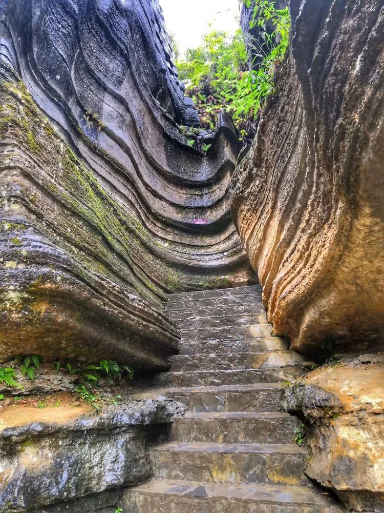 三峡特产_三峡特产有什么值得买_三峡旅游特产