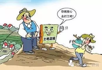 中国近代土地方面的改革及内容_三次土地改革的时间_土地储备事业单位改革