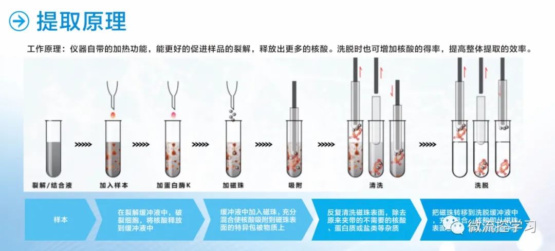 琼脂的毒性_琼脂对人体有什么好处_琼脂对人体有害吗