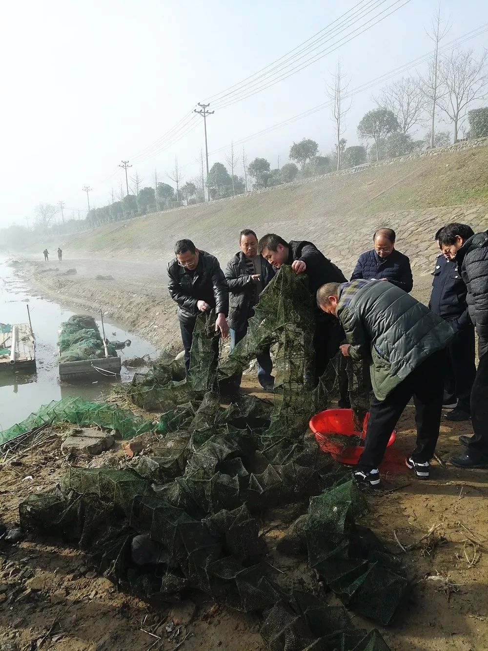 熊猫栖息环境资料_大熊猫栖息环境_大熊猫栖息地环境