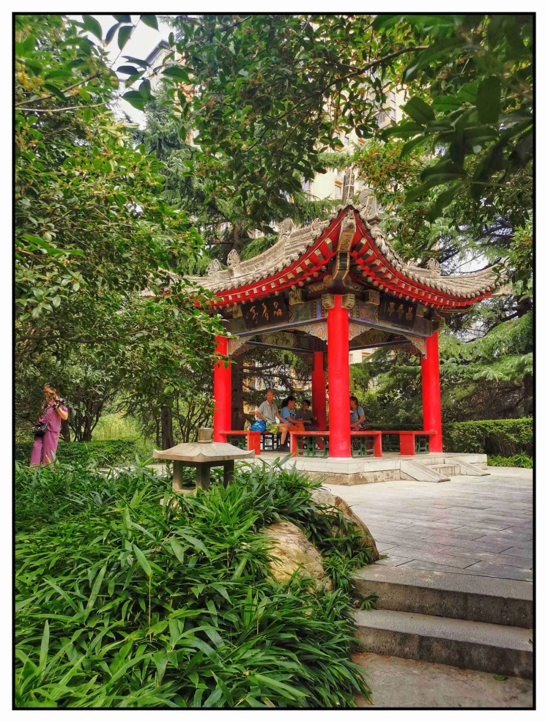 桂花雨生字组词_桂花雨教案_桂花雨