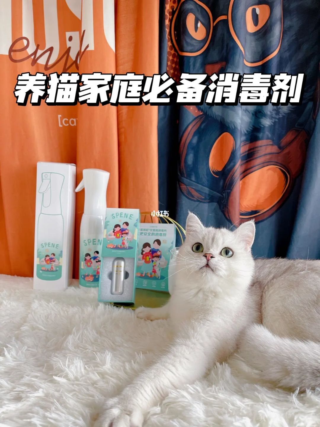 潜伏期猫瘟试纸能测出来吗_潜伏期猫瘟pcr能测出来吗_猫瘟潜伏期