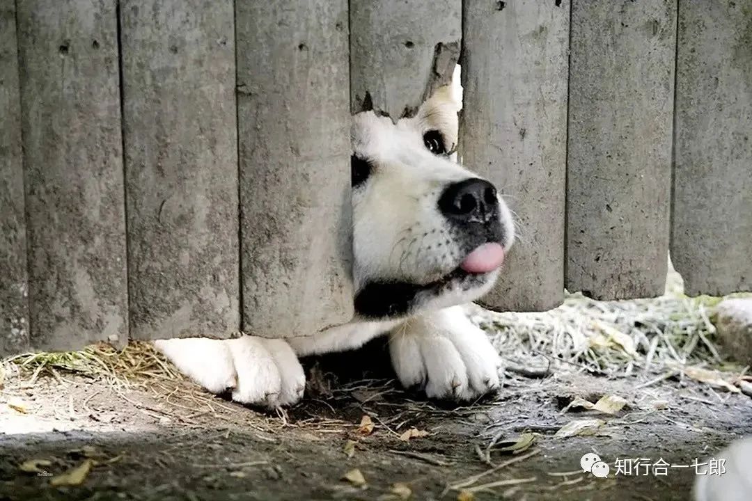 电影好看推荐一下_电影好看的推荐_好看的电影推荐几部前十名