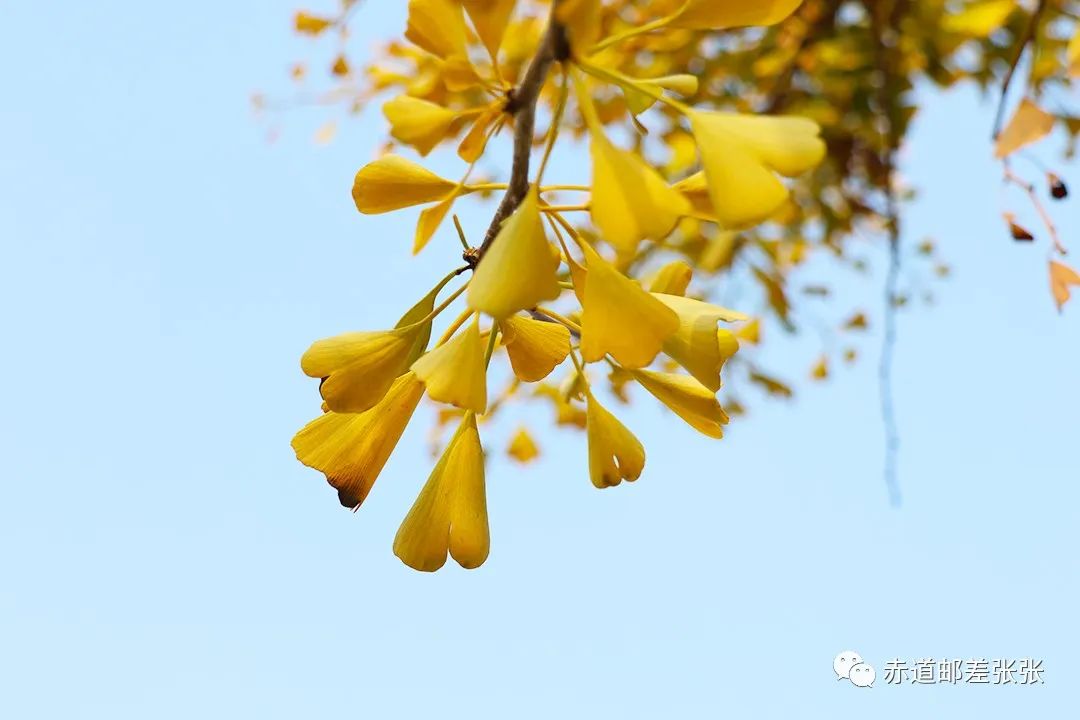 希腊神话特点_古希腊神话有哪些特点_古希腊神话的特点有