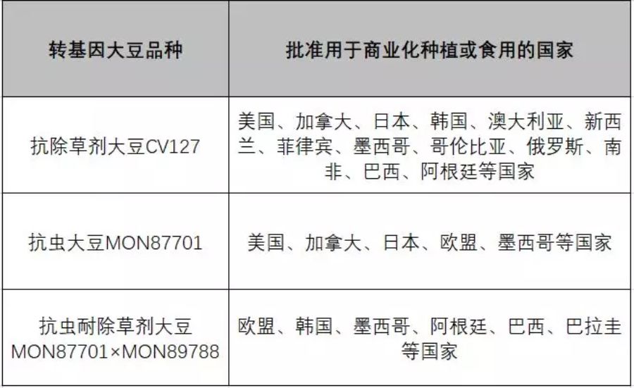 非转基基因黄豆的价格_转bt蛋白基因植物_非转基因