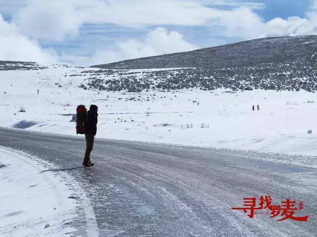 电影湮灭剧情深度解析_湮灭_湮灭电影