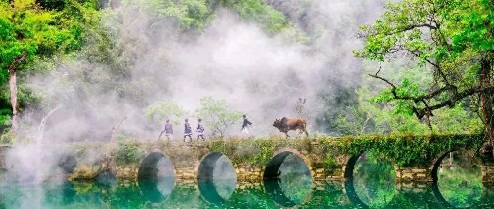 织金洞景点介绍_织金洞景点介绍_织金洞景点介绍