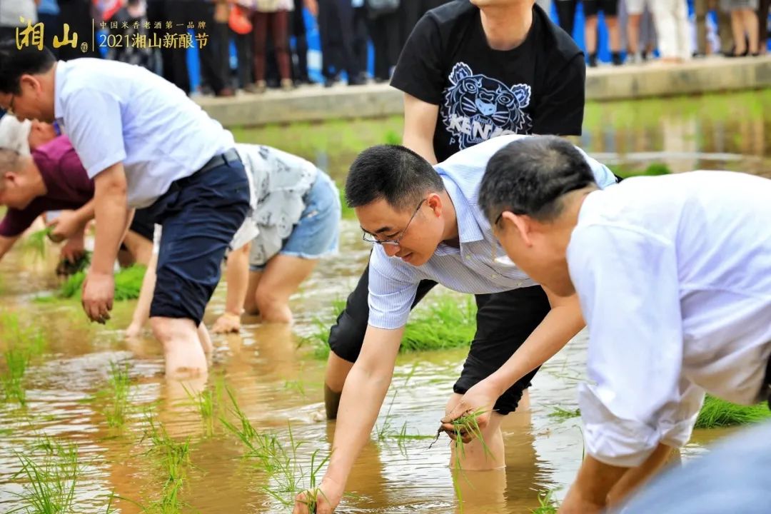 端午节喝什么酒?_端午节喝酒的寓意_端午节喝酒的说辞