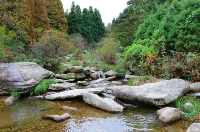 识了庐山真面目_不识庐山真面目全诗_面目不识庐山真面目