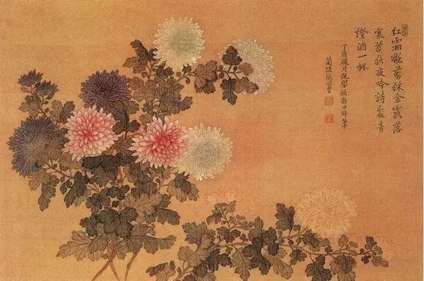 国画四君子_国画4君子_国画君子花如何画