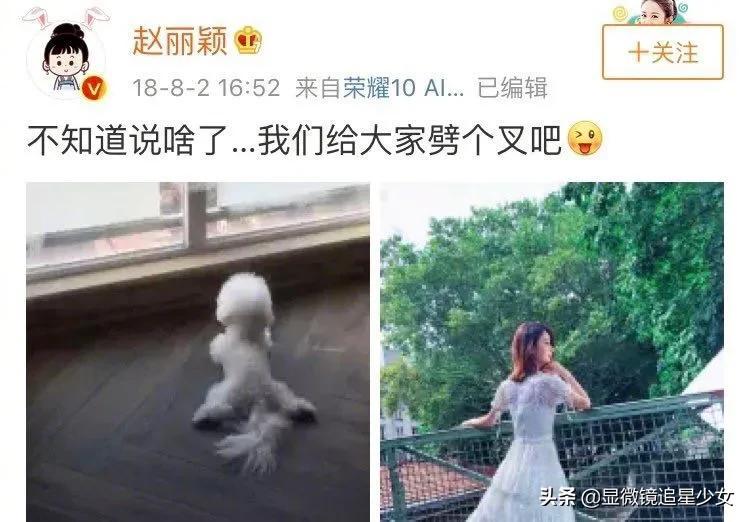 赵丽颖离婚冯绍峰是真的吗_赵丽颖冯绍峰为什么离婚_赵丽颖与冯绍峰正式离婚