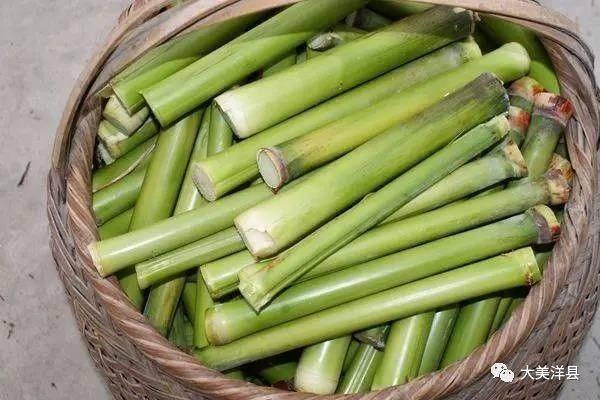 甜津津的什么食物_我吃过甜津津的什么食物_甜的食品