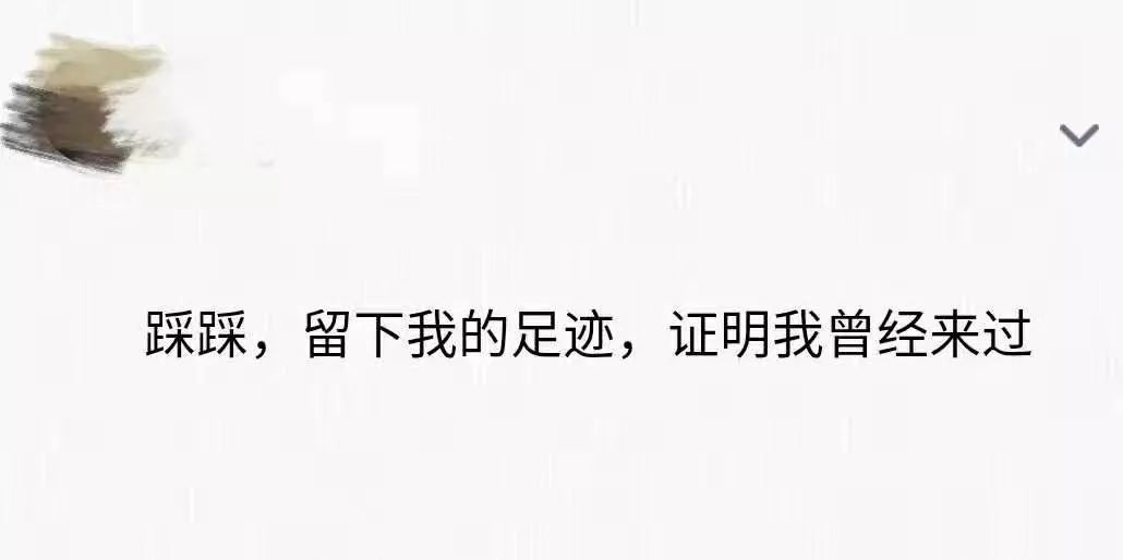 qq密保问题怎么取消_qq取消密保问题了吗_qq密保问题什么时候取消的