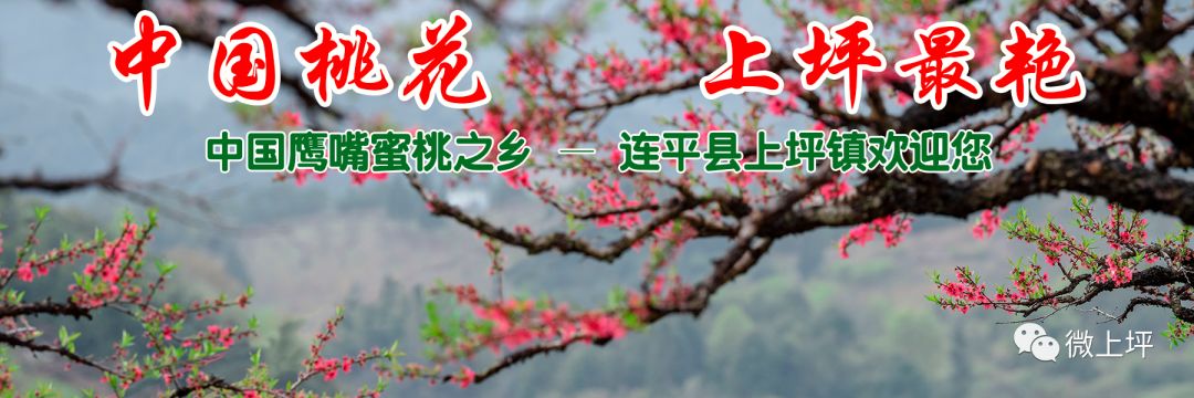 唐朝乐队演出_唐朝乐队视频_唐朝乐队