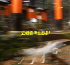 吸猫是什么意思_猫吸是什么意思啊_猫吸是什么词