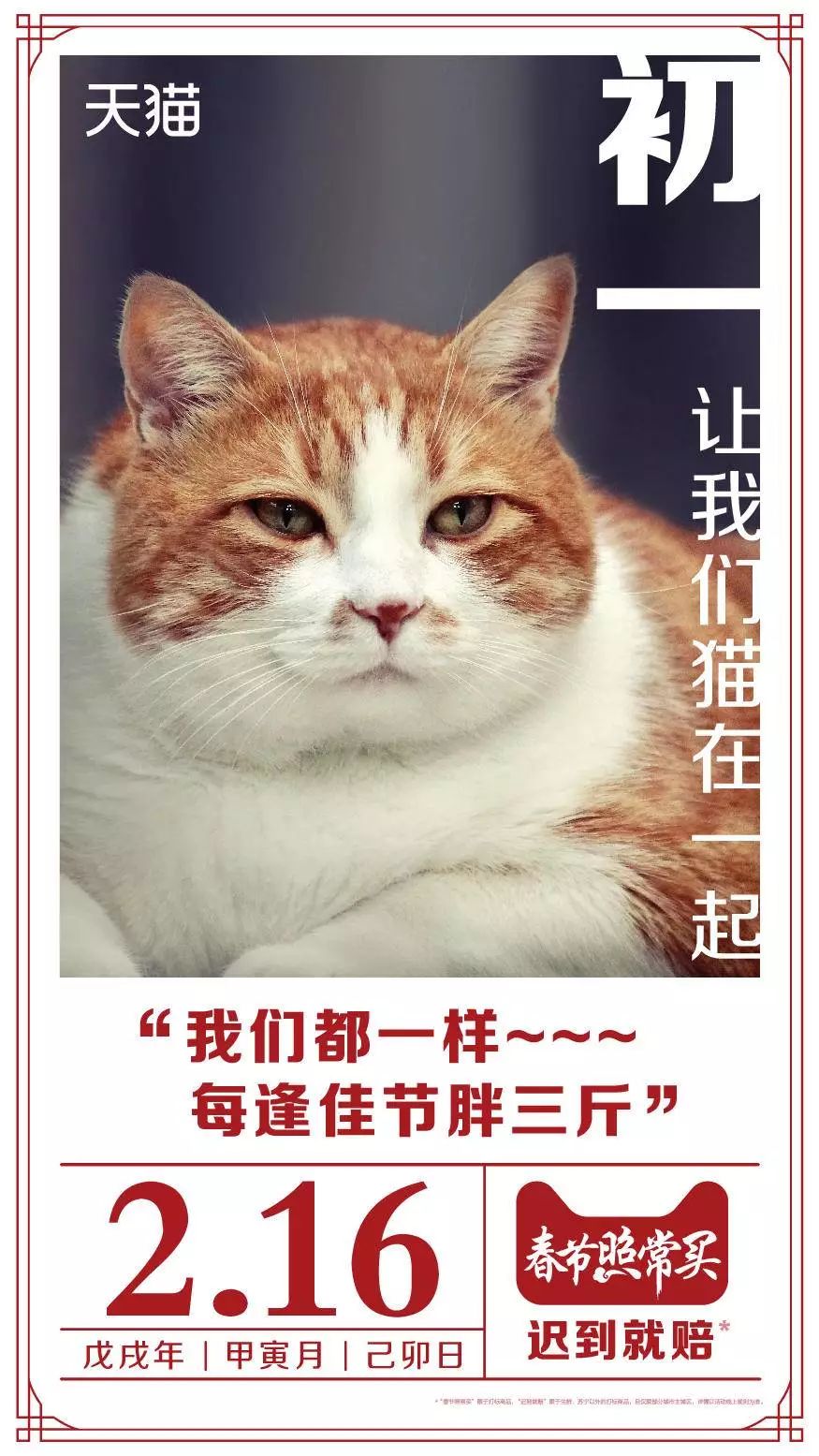 吸猫是什么意思_猫吸是什么意思啊_吸猫的时候猫心里在想什么