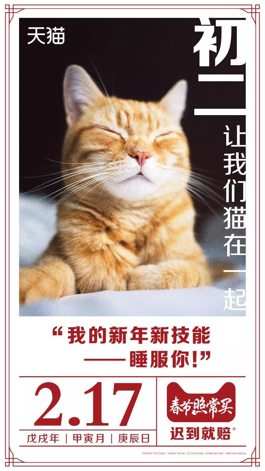 吸猫的时候猫心里在想什么_吸猫是什么意思_猫吸是什么意思啊