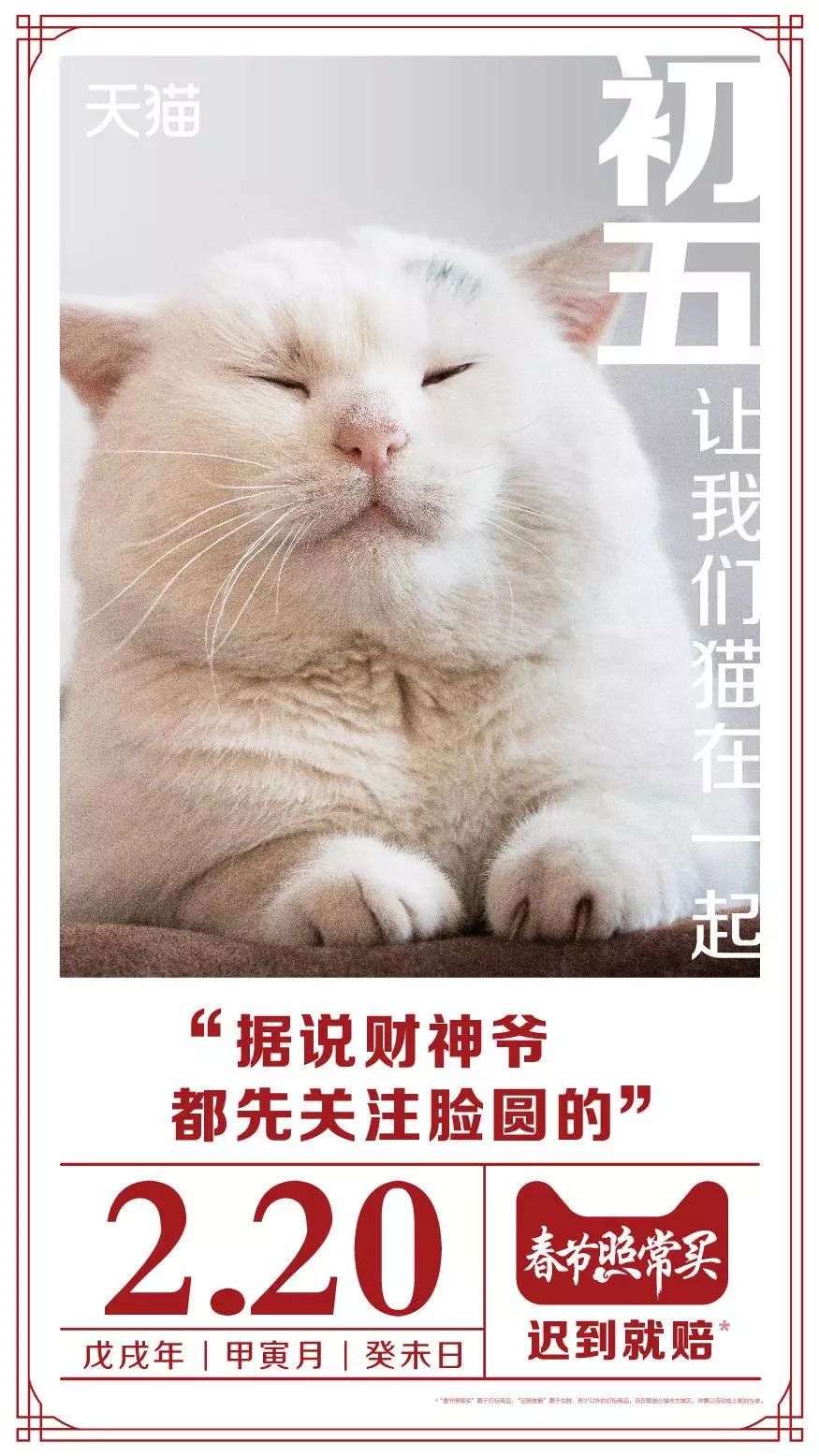 吸猫的时候猫心里在想什么_猫吸是什么意思啊_吸猫是什么意思