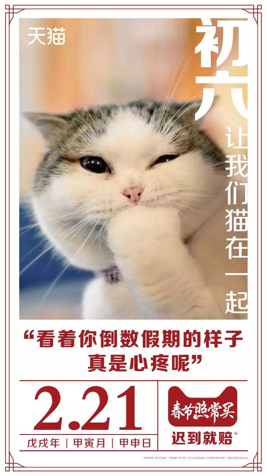 吸猫的时候猫心里在想什么_吸猫是什么意思_猫吸是什么意思啊