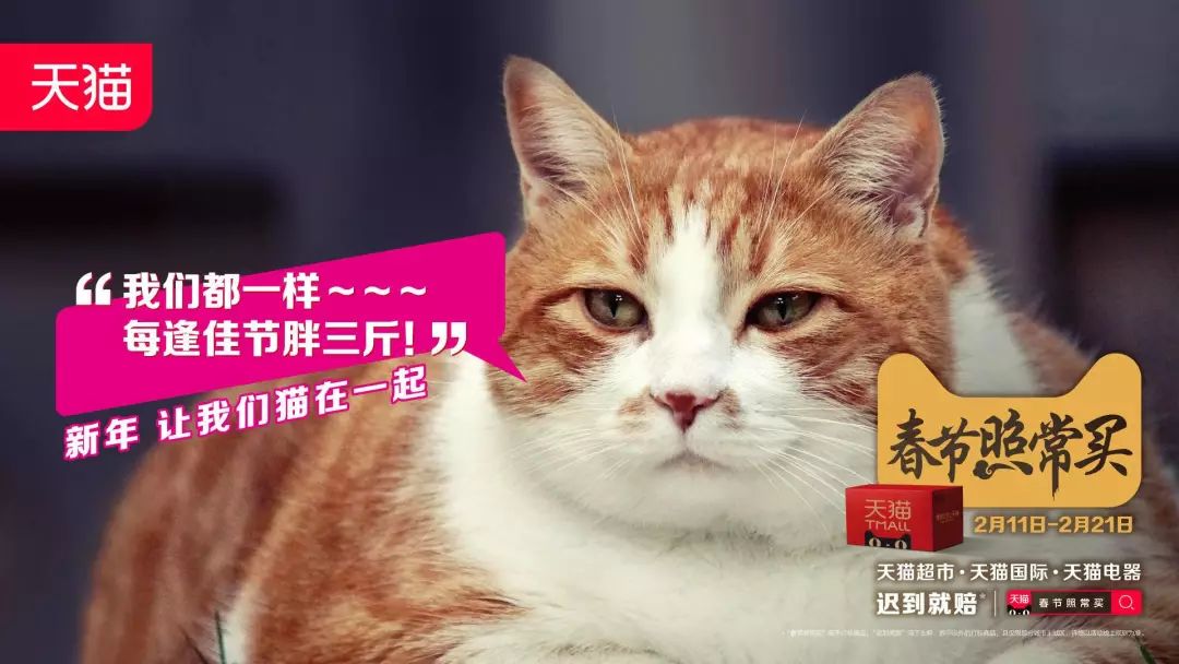 猫吸是什么意思啊_吸猫是什么意思_吸猫的时候猫心里在想什么