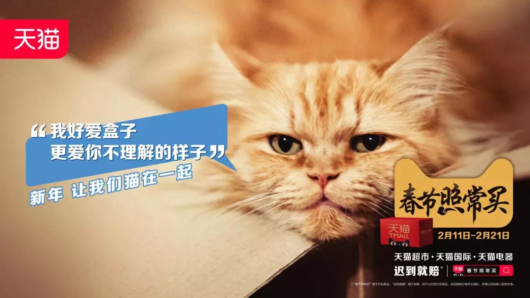 猫吸是什么意思啊_吸猫是什么意思_吸猫的时候猫心里在想什么