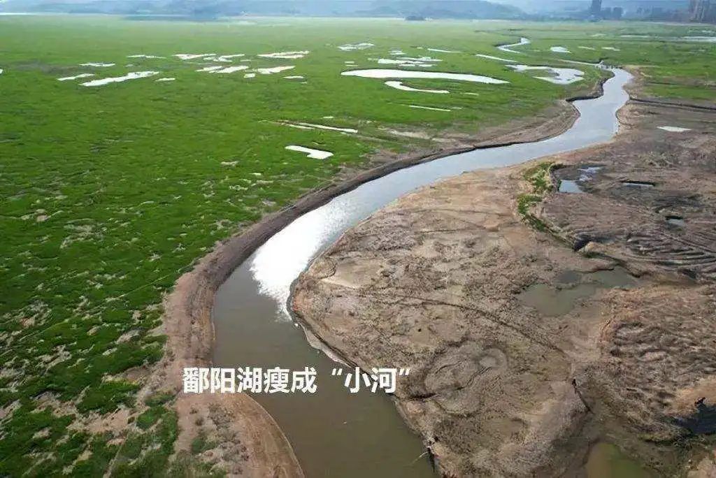 淡水湖国外_淡水湖国内最大_我国第一大淡水湖