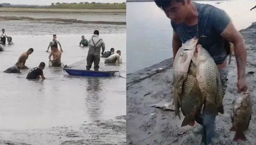 淡水湖国外_淡水湖国内最大_我国第一大淡水湖