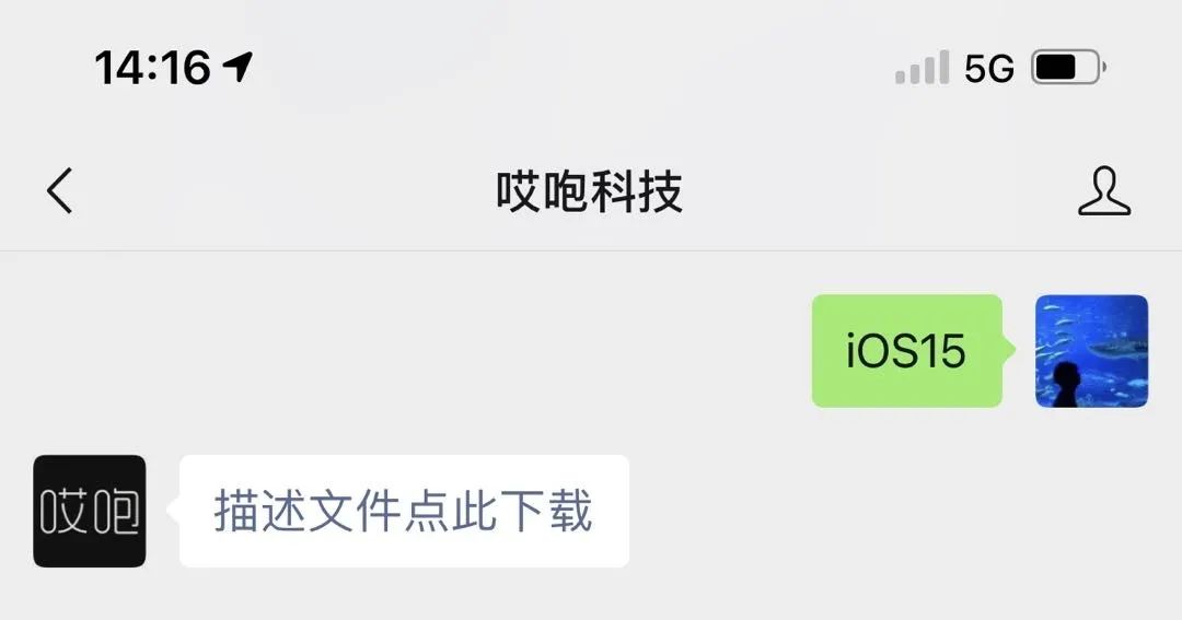 ios15.5有什么新功能_新版ios功能_ios15.01新功能