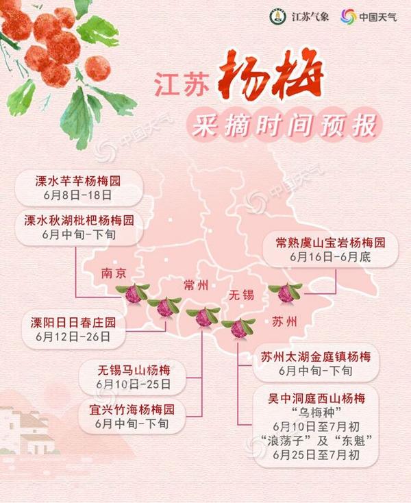 几月份是杨梅季节_杨梅季节是几月_杨梅季节是几月份