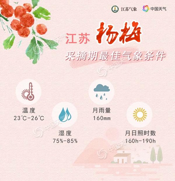 杨梅季节是几月_杨梅季节是几月份_几月份是杨梅季节