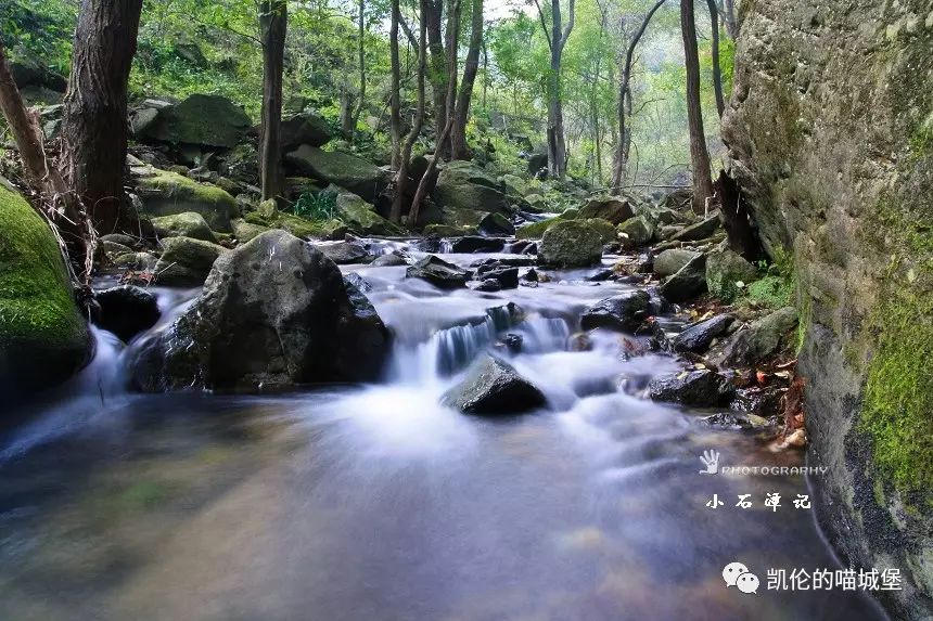 小石潭记选自永州八记的第几篇_小石潭记选自_小石潭记选自