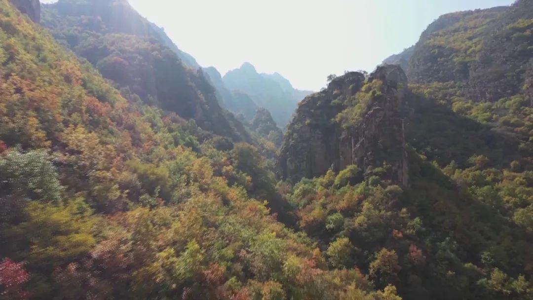 五台山海拔_台山最高的山_台山海拔高度是多少米