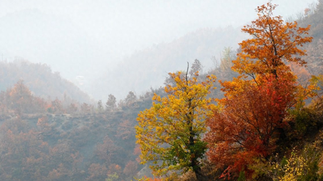 大漠沙如雪，燕山月似弓——燕山