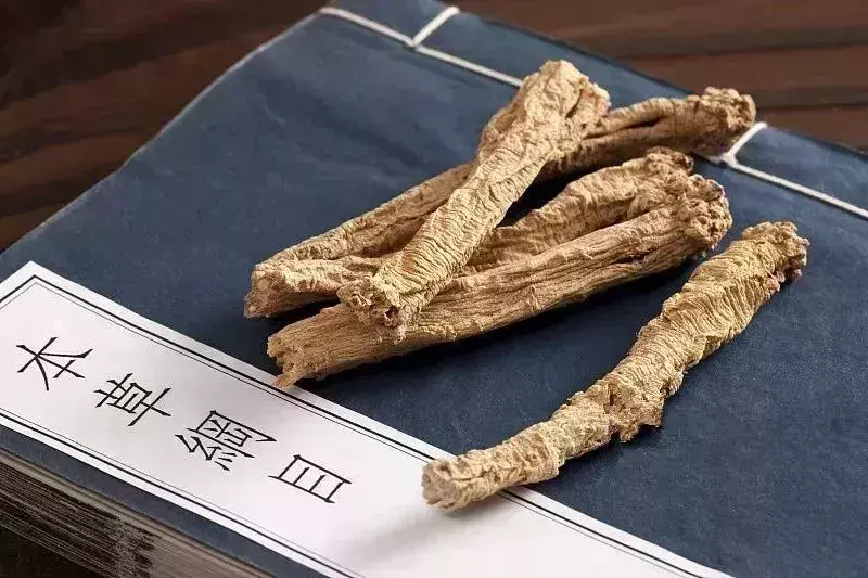 人参和西洋参的区别与功效_人参西洋参可以一起吃吗_人参西洋参区别功效百度百科