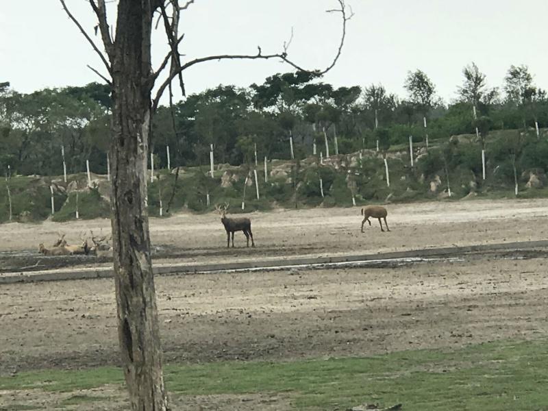 乐清野生动物园_乐清动物园_乐清市动物园