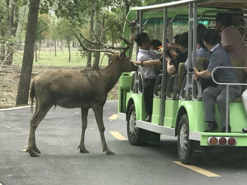 乐清野生动物园_乐清动物园_乐清市动物园