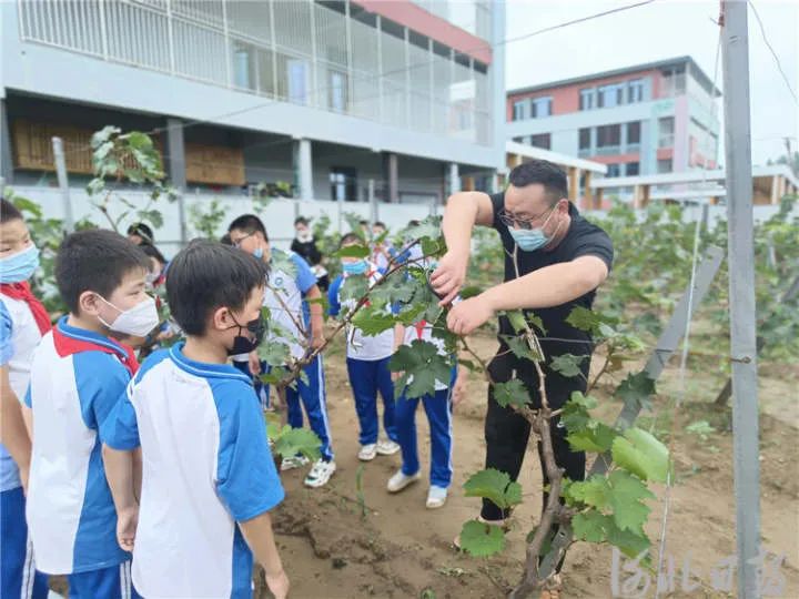 河北省三河市属于哪个市_河北省三河市属于哪个_河北三河归哪个市管