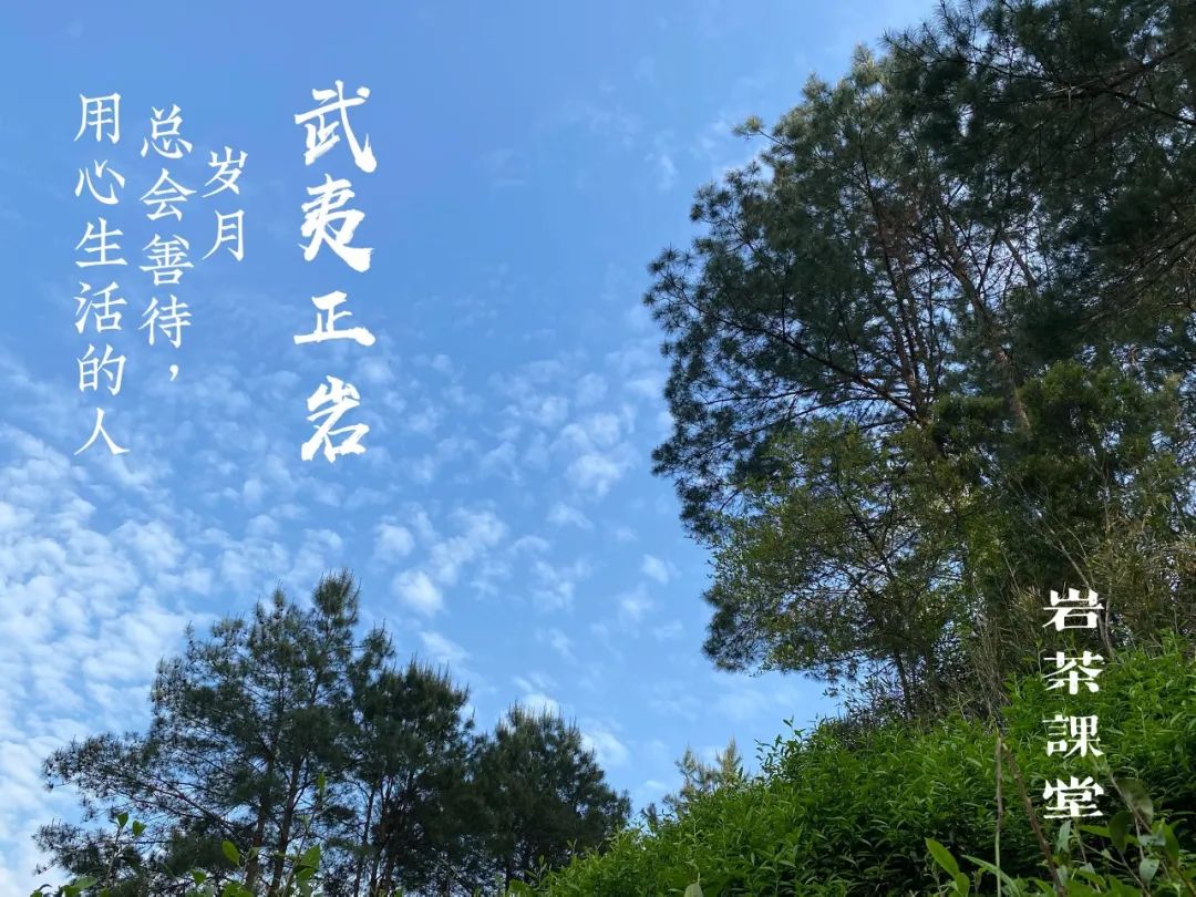 鼓浪屿陈罐西式茶货铺_张晓风陈年老茶_陈茶