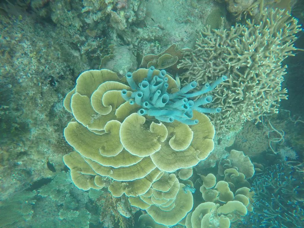 菲律宾海岛_菲律宾海岛游排名_菲律宾海岛攻略