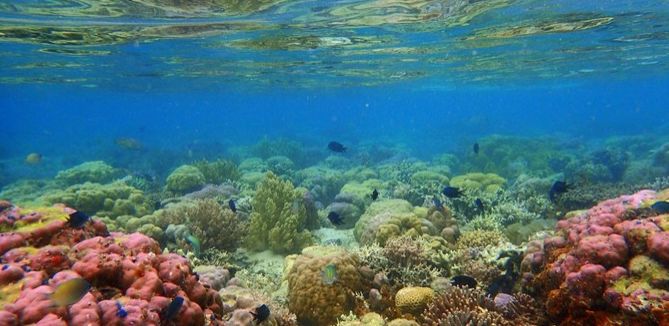 菲律宾海岛游排名_菲律宾海岛攻略_菲律宾海岛